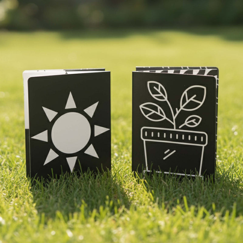 Baby Focus Flashcards