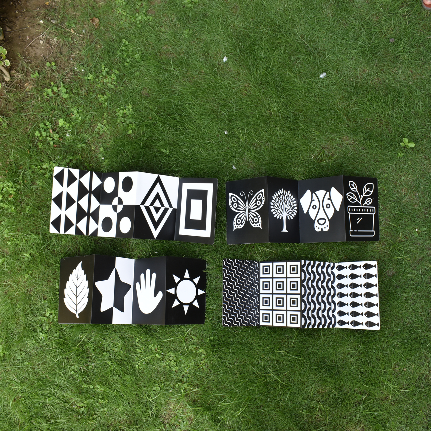 Baby Focus Flash Cards