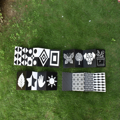 Baby Focus Flash Cards