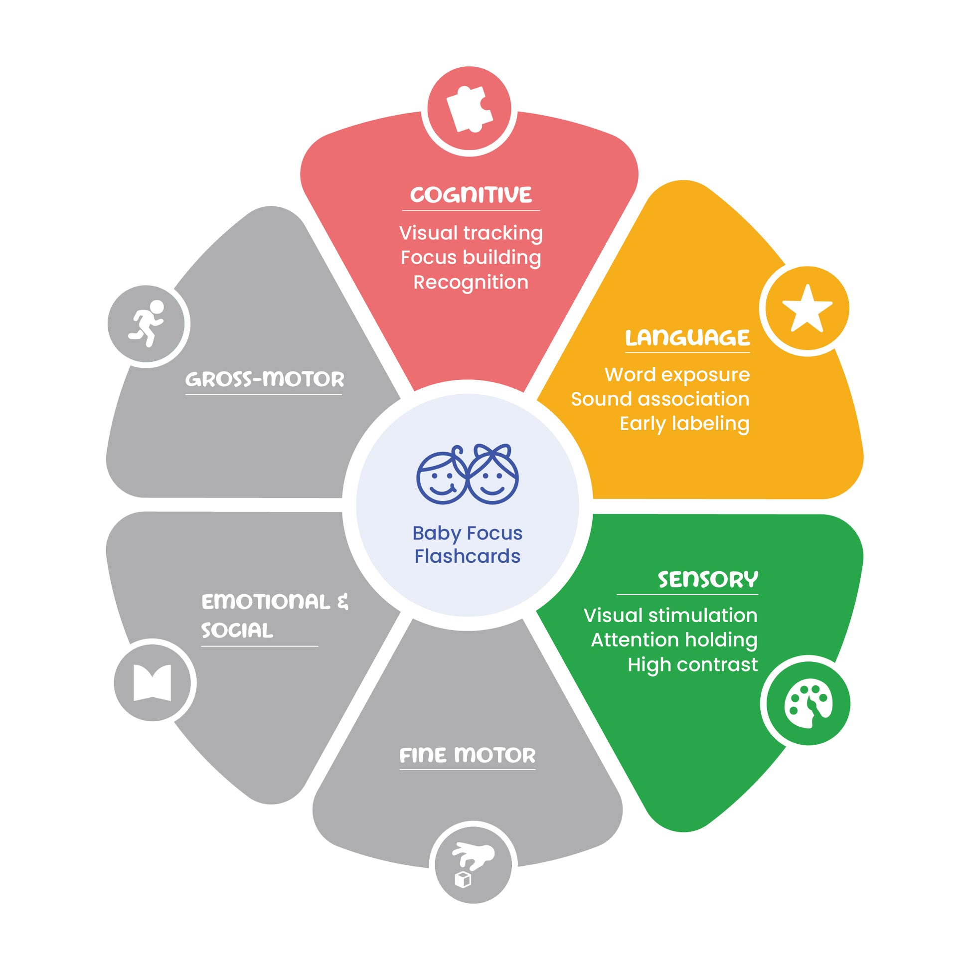 Wheel diagram of baby development focus areas with colorful sections labeled Cognitive, Language, Sensory, Fine Motor, and Social.
