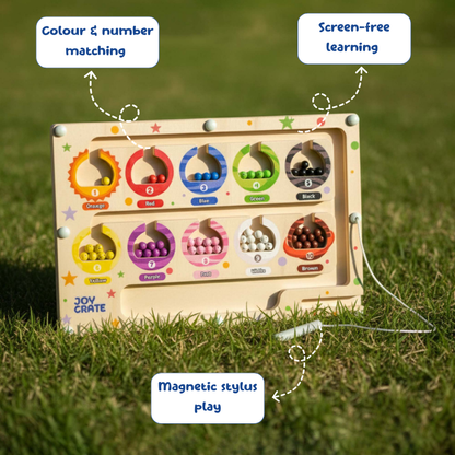Wooden educational toy with colorful compartments on grass
