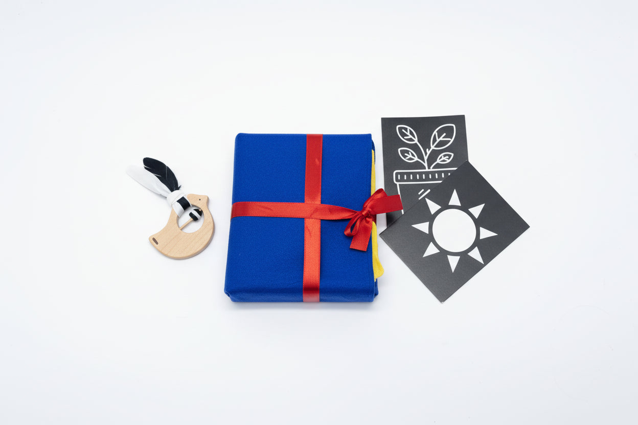 Black and white flashcards for newborn visual stimulation