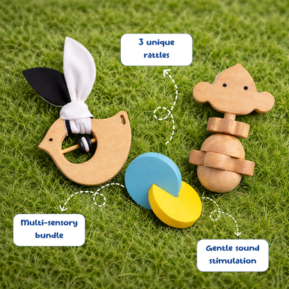 Newborn Rattle Set