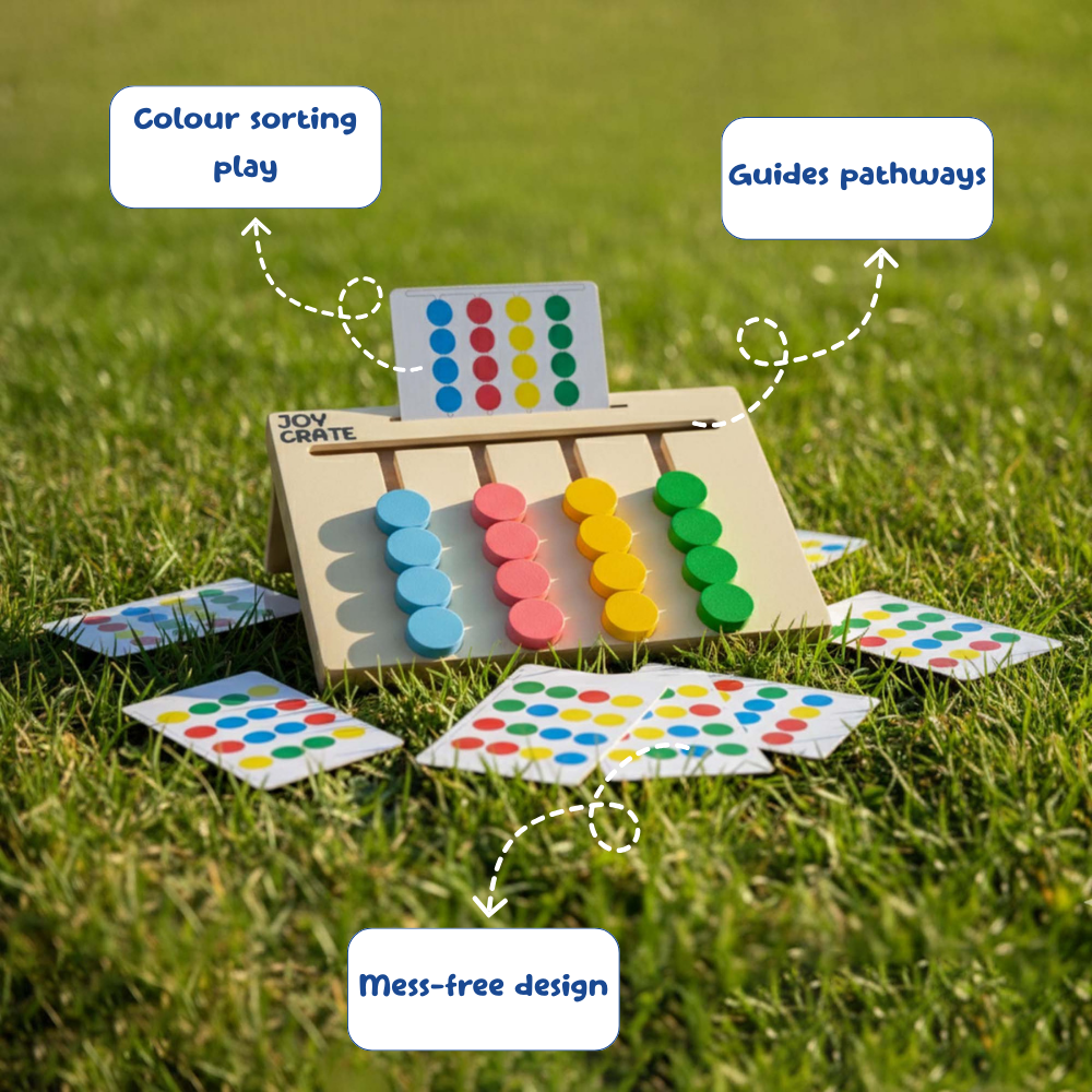 Montessori sorting game for kids brain development