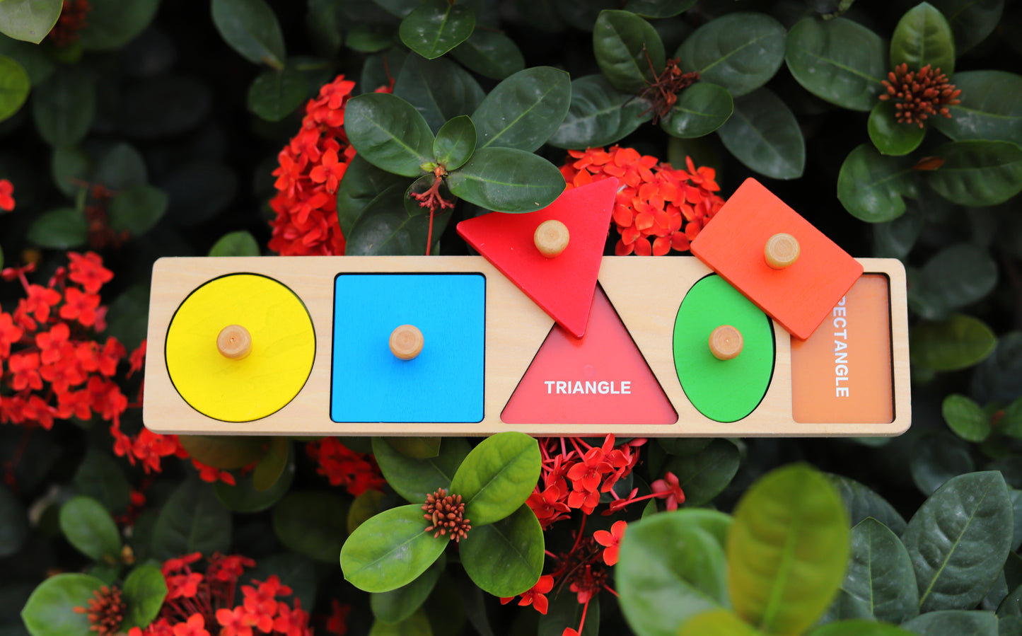 Fit-a-Shape Puzzle