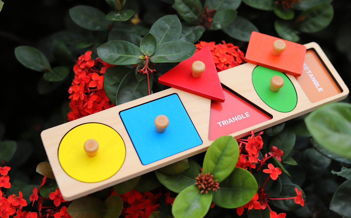 Fit-a-Shape Puzzle