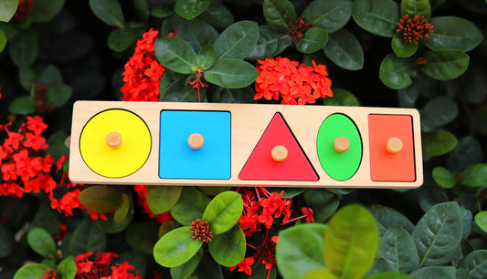 Fit-a-Shape Puzzle