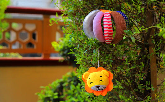 Hide & Seek Ball