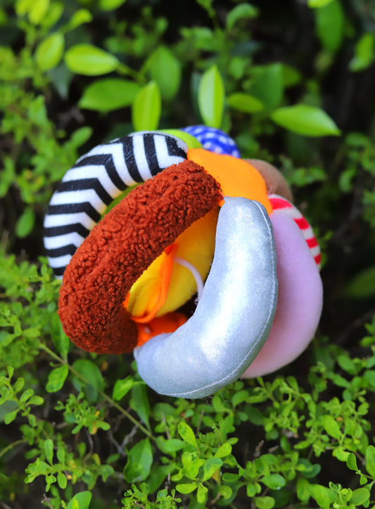 Hide & Seek Ball