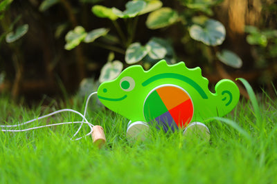 Rainbow Rolly