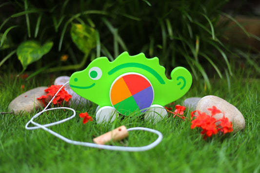 Rainbow Rolly