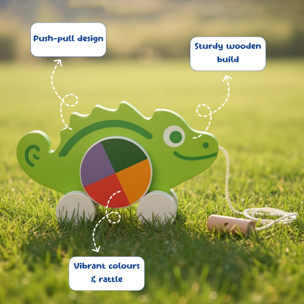 Pull along toy for kids coordination and balance