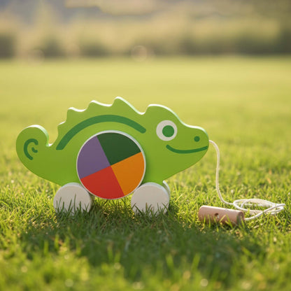 Rainbow Rolly wooden pull along toy for babies