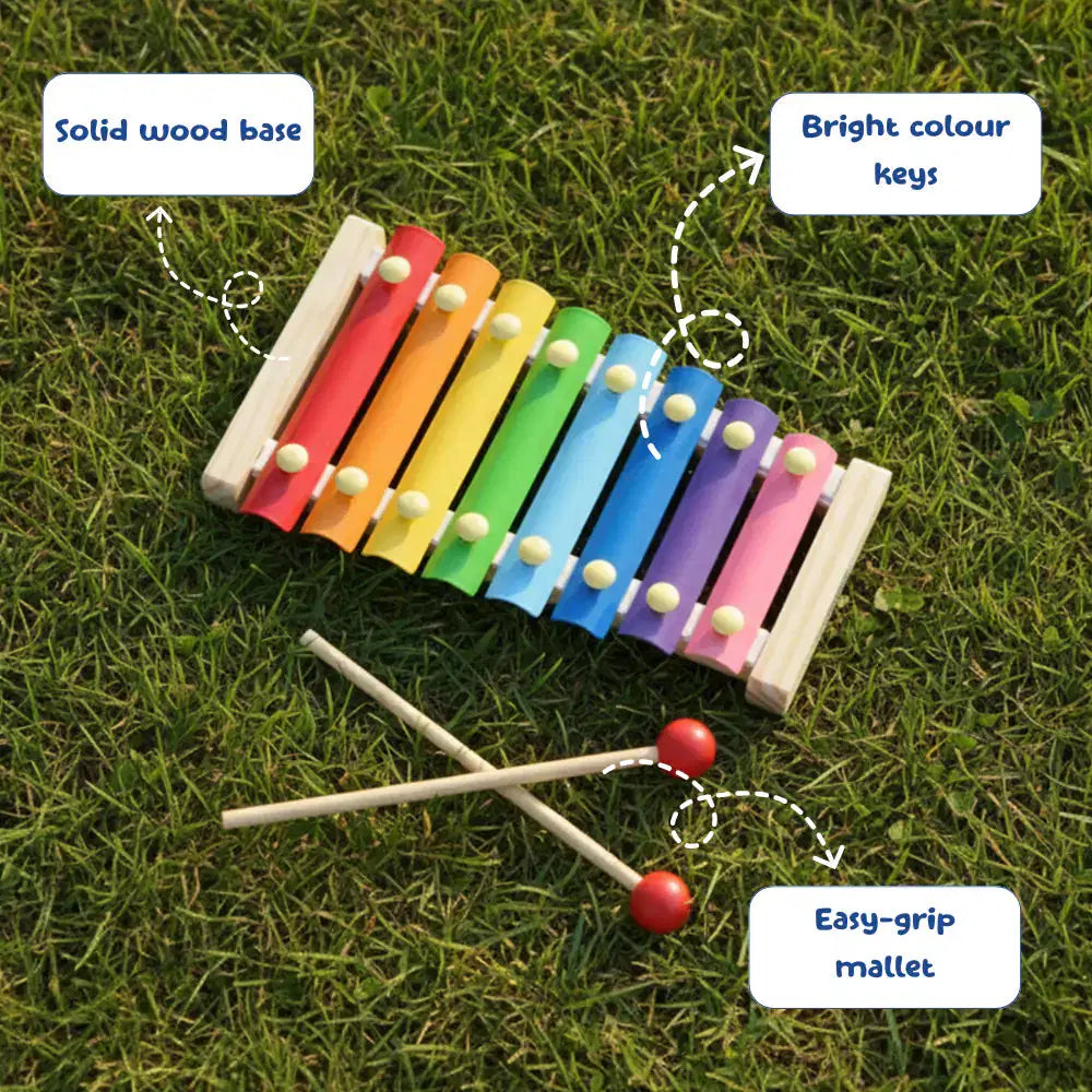 Colorful xylophone with wooden base and bright keys on grass