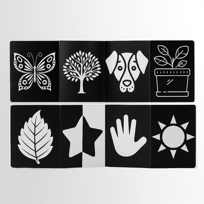 Baby Focus Flash Cards