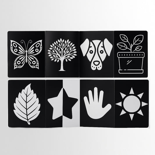 Baby Focus Flash Cards