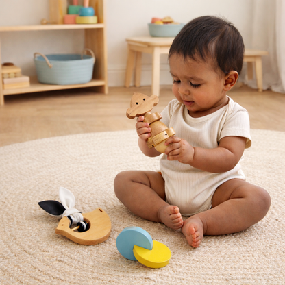 Newborn Rattle Set
